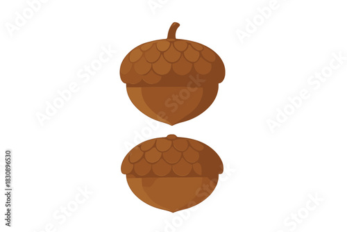 Stylized pair of brown acorns with caps isolated on white background symbolizing autumn harvest
