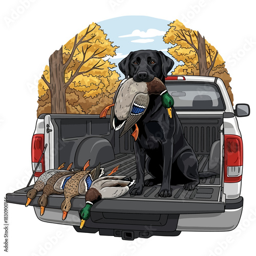 Black Labrador retriever with retrieved ducks sitting in pickup truck bed after hunt