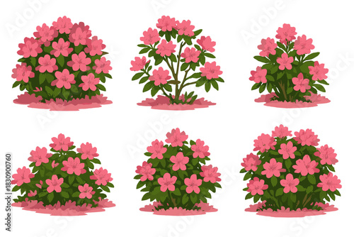 Blooming pink azalea and rhododendron bushes for landscaping design