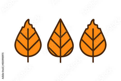 Row of three stylized autumn leaves colored orange and brown for seasonal design