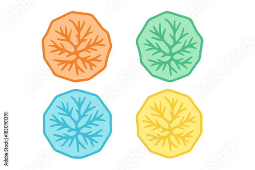 Four abstract geometric shapes with internal branching structures in bright colors