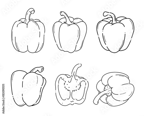 set of Bell Papper Line Art Illustrasions. Suitable for food graphics, Recipe layouts, Organic product labels, coloring pages, culinary icons, farm designs, and botanical outlines.