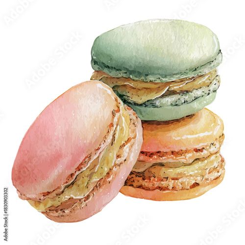 Macaron, watercolor clipart vector, isolated on a white background.