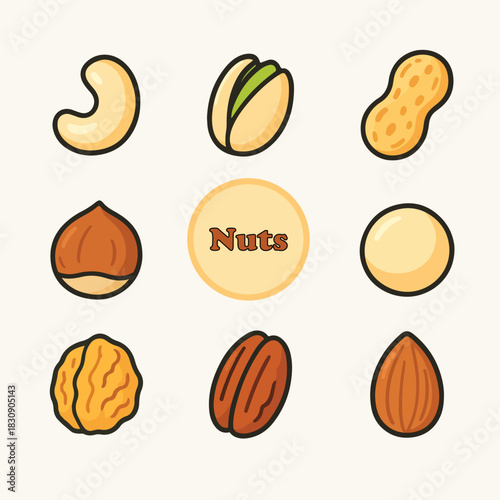 Nuts vector illustration