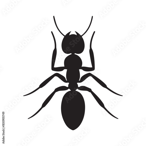 Simple Ant Emblem Icon Set