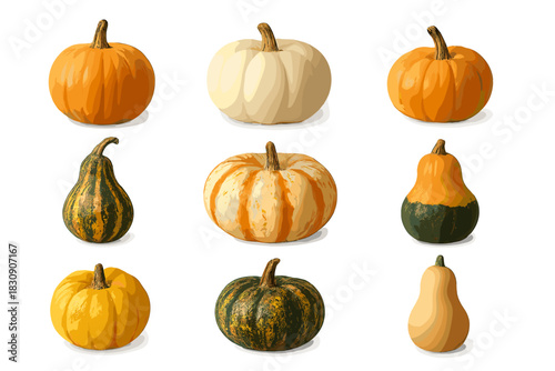 Assortment of small autumn squash, pumpkins, and ornamental gourds on white background