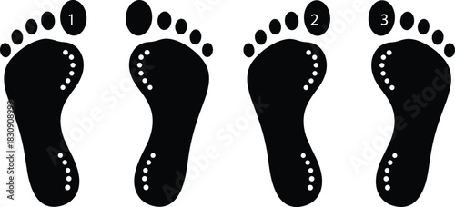 Four black vector footprint silhouettes with numbered toes and dotted reflexology points, illustrating human anatomy, foot massage, acupuncture, podiatry, health care