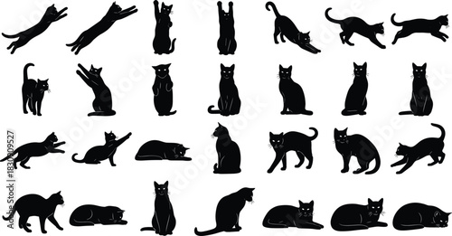 Large collection of thirty black cat silhouettes in various dynamic and static poses, illustrating domestic animals, feline agility, stretching, jumping, sleeping, and playful pet behavior 
