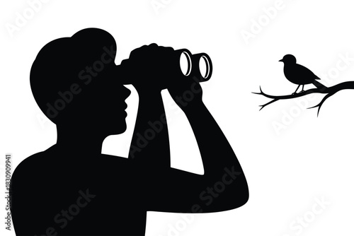 Silhouette of a person using binoculars to observe a bird on branch