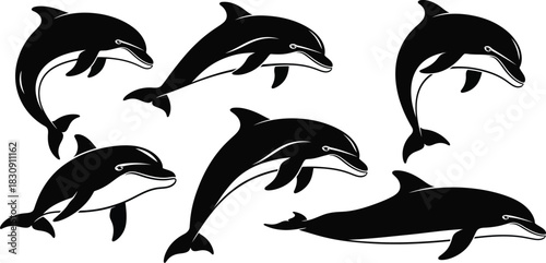 Six black silhouette dolphins leaping and swimming in dynamic poses against a white background