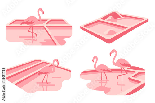Pink flamingos wading in stylized pink salt flats and shallow water compositions