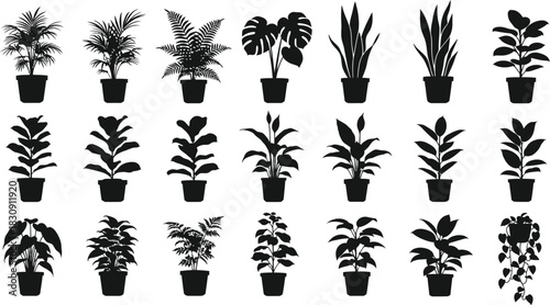 Collection of silhouetted potted houseplants in various shapes and sizes
