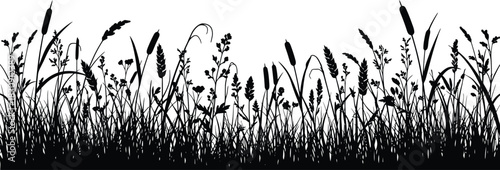 Silhouette of a lush meadow with tall grasses and wildflowers against a white background