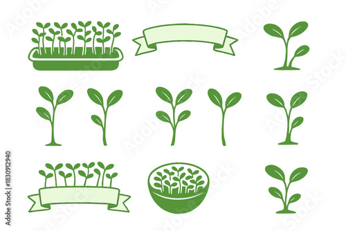 Set of green plant sprouts and microgreens symbols for organic healthy food packaging