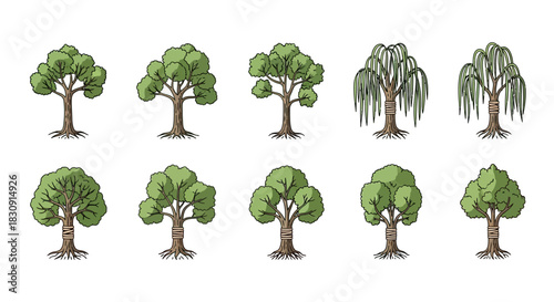 A collection of various hand-drawn tree illustrations, including deciduous trees and weeping willows, showcasing different shapes and foliage.