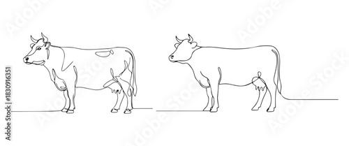 Minimal Continuous Line Art Vector of Standing and Grazing Cows on White Background
