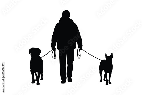 Silhouette of a person walking two dogs on leashes outdoors