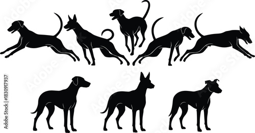 Black Dog Silhouettes in Motion and Standing Poses – Vector Set of Canine Shapes for Pet, Animal, and Design Themes