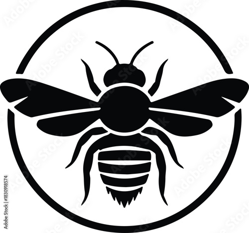 Illustration Honey bee in circle icon monochrome silhouette vector