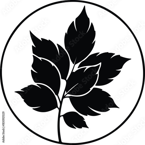 Illustration simple leaf design inside circle silhouette vector