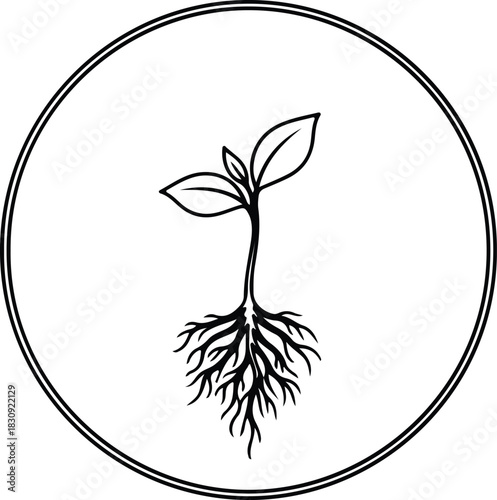 Illustration sprouting seedling plant with roots in circle silhouette vector
