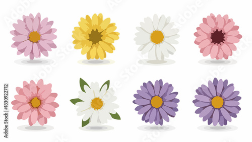 Collection of eight colorful daisy illustrations with delicate petals and distinct centers
