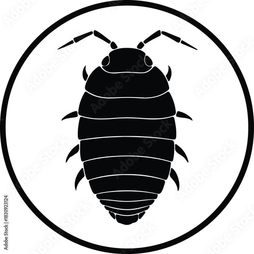 Illustration woodlouse pillbug isopod in circle black silhouette vector
