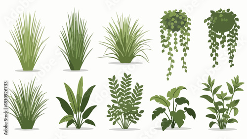 Diverse collection of illustrative green plants, perfect for design and decorative use in various projects