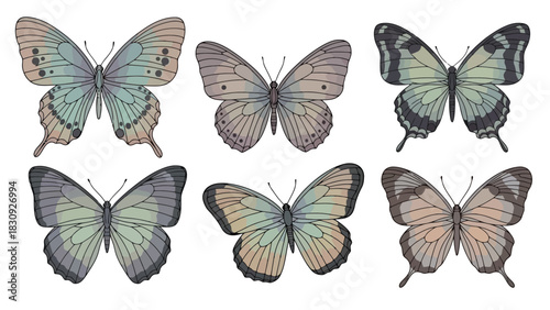 A beautifully detailed collection of six vintage-style illustrated butterflies with colorful wings, isolated on a white background