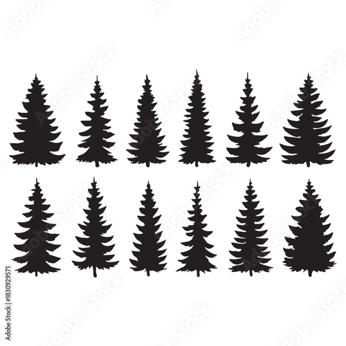 Set of pine tree vector silhouettes 