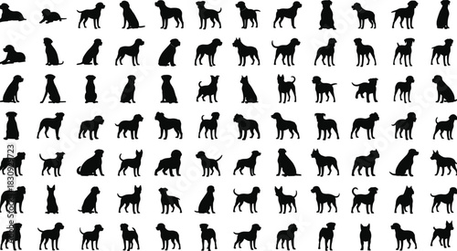 Set of Dog Silhouettes, Puppy Poses, Various Breeds, Animal Collection, Pet Shop and Veterinary Clinic Icons, Black Vector.