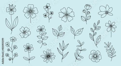 Elegant collection of minimalist line art botanical illustrations featuring various flowers and leaves with a delicate dashed outline on a soft blue background.