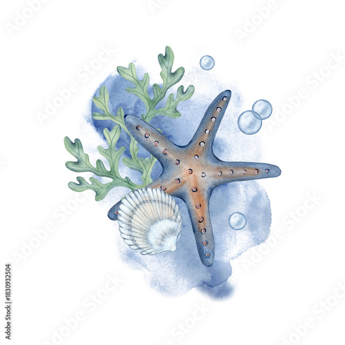 Watercolor illustration with marine elements, blue starfish, shell, green algae, air bubbles. Hand-drawn for print, poster, children's room.