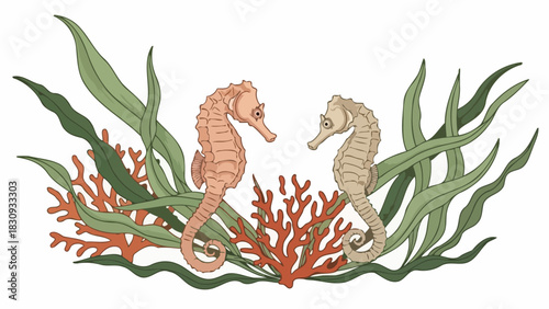 A pair of seahorses surrounded by coral and seaweed in a charming illustration