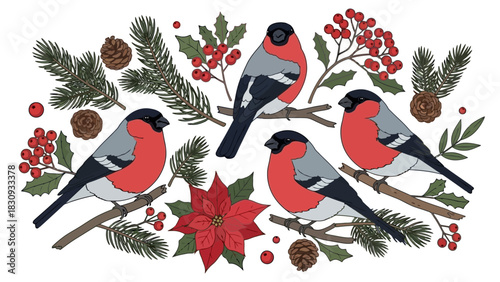 Vibrant illustration of bullfinches in a festive winter scene, adorned with red berries, pine branches, and a poinsettia. Ideal for holiday designs