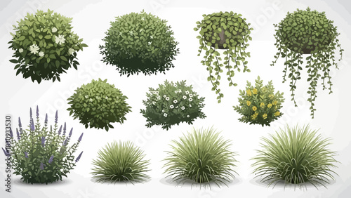 Collection of green plants, bushes and hanging plants illustrations on white background