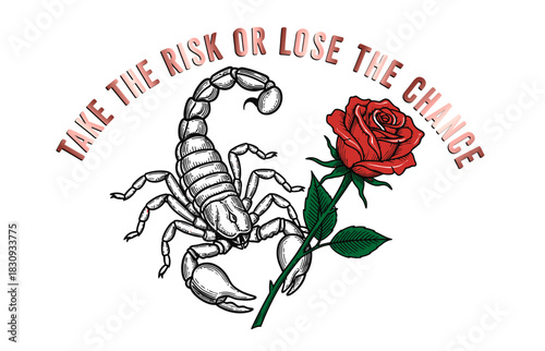 Hand drawn scorpion illustration. Vector graphics for t-shirt prints and other uses.