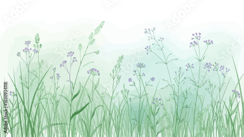 Watercolor Field Illustration A Delicate Dance of Grasses and Wildflowers