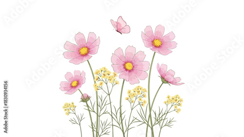 Watercolor floral illustration of pink cosmos flowers, butterflies, and delicate greenery