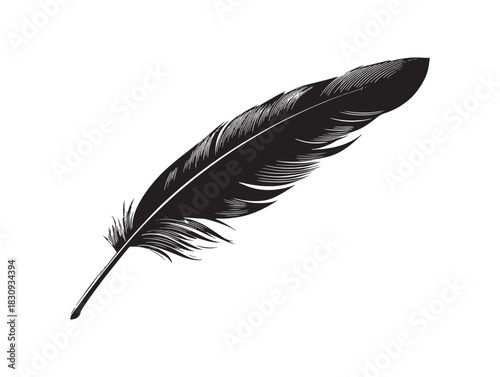 Minimalist black feather 2D line art vector illustration for creative projects and branding