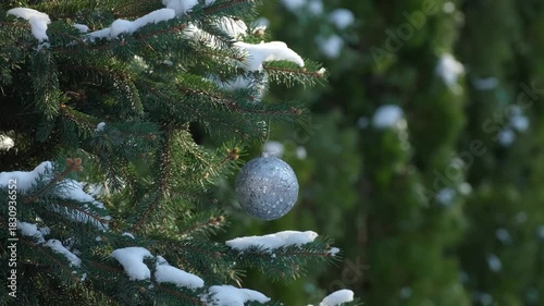 Clothing Hanging Christmas Ball Ornament on Snowy Christmas Pine Tree Branch. Christmas and New Year Celebration