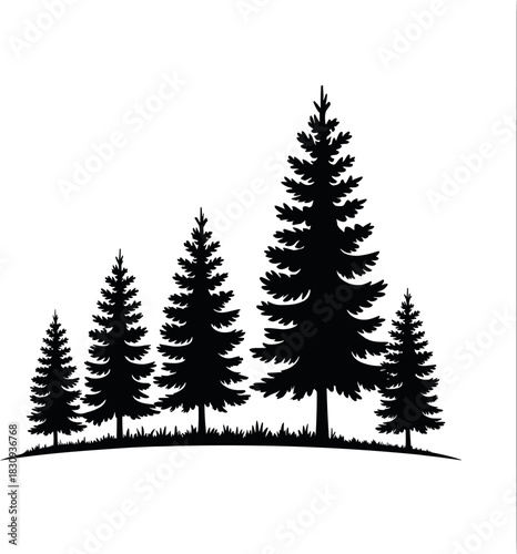 Monochrome Silhouette of Evergreen Pine Forest Landscape: Black and White Conifer Trees on Grassy Hill, Representing Outdoor Adventure, Wilderness, and Natural Tranquility Vector Graphic.