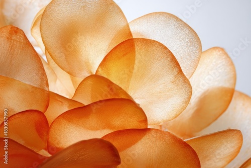 Closeup Of Golden Flaky Crispy Snacks