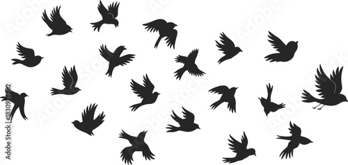 Silhouettes of a diverse flock of black birds flying in different dynamic poses, symbolizing freedom, nature, migration, peace, and spiritual transformation across a wide sky.
