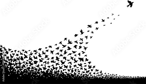 Vast, dense flock of birds taking flight and rising from the ground in a dynamic sweeping motion, symbolizing freedom, release, escape, and achieving future aspirations or spiritual ascent.