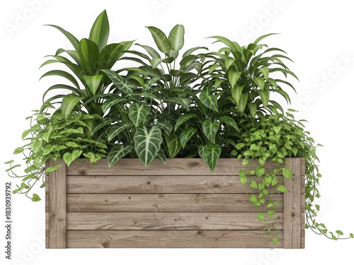 Lush green potted plants with varied leaf textures in a rustic wooden planter box, isolated on a transparent background for easy compositing isolated on transparent background