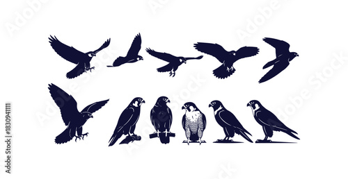 Majestic eagle silhouette collection featuring multiple perspectives and dynamic poses