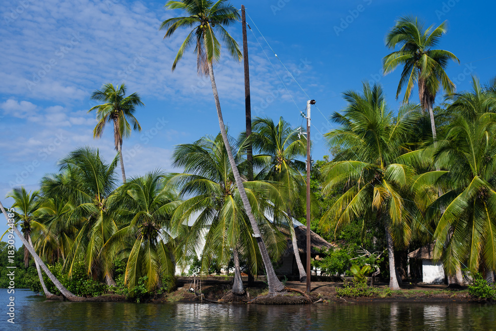 Obraz premium tropical palm island by water