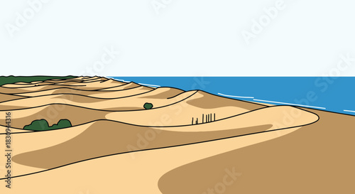 Seaside Sand Dune Landscape with vegetation on dunes