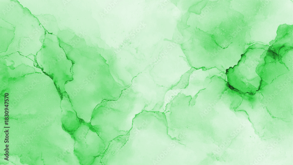 Obraz premium Green abstract alcohol ink art background with fluid organic watercolor texture Vector, illustration